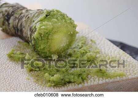 Stock Photo - Grated wasabi. Fotosearch
