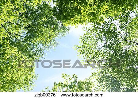 Greenery View Large Photo Image Stock Image - Greenery. Fotosearch