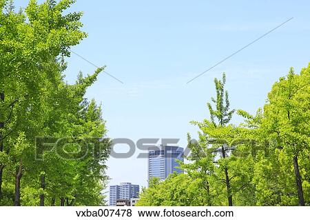 Stock Photo - Greenery. Fotosearch