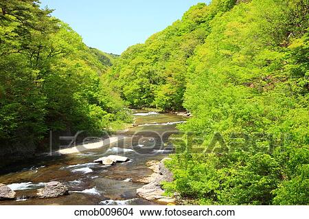 "Gunma Prefecture, Japan" View Large Photo Image Picture - "Gunma Prefecture, Japan". Fotosearch