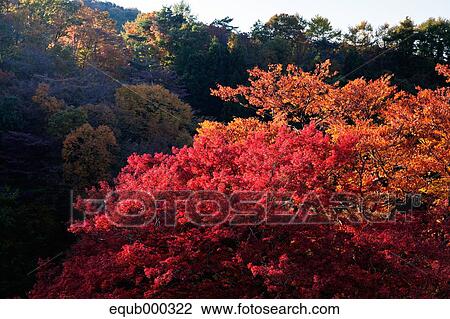 "Gunma Prefecture, Japan" View Large Photo Image Stock Image - "Gunma Prefecture, Japan". Fotosearch
