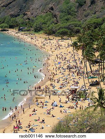 "Hawaii, USA" View Large Photo Image Stock Photograph - "Hawaii, USA". Fotosearch