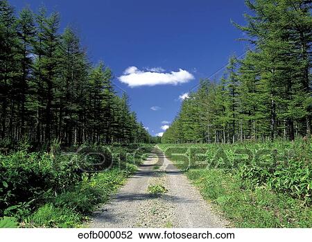 "Hokkaido, Japan" View Large Photo Image Stock Image - "Hokkaido, Japan". Fotosearch