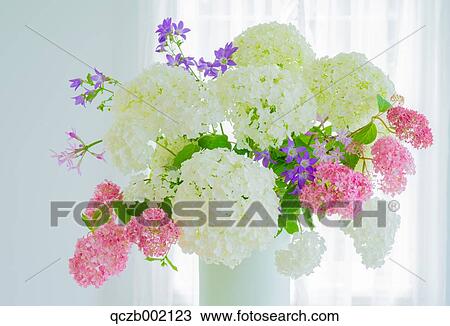 Hydrangea View Large Photo Image Stock Image - Hydrangea. Fotosearch