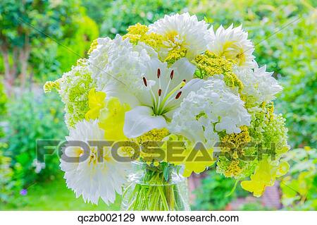 Stock Photo - Hydrangea. Fotosearch