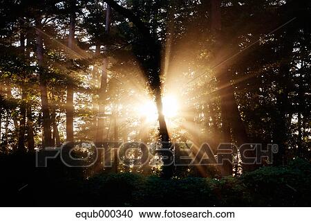 "Iwate Prefecture, Japan" View Large Photo Image Stock Image - "Iwate Prefecture, Japan". Fotosearch
