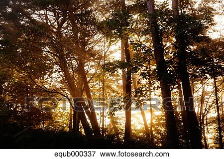 Stock Photo - "Iwate Prefecture, Japan". Fotosearch