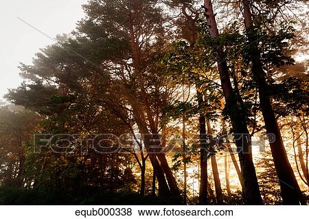 "Iwate Prefecture, Japan" View Large Photo Image Stock Photo - "Iwate Prefecture, Japan". Fotosearch