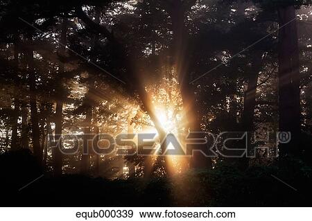 "Iwate Prefecture, Japan" View Large Photo Image Stock Photo - "Iwate Prefecture, Japan". Fotosearch