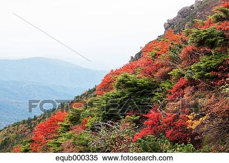 Stock Photography - "Iwate Prefecture, Japan". Fotosearch