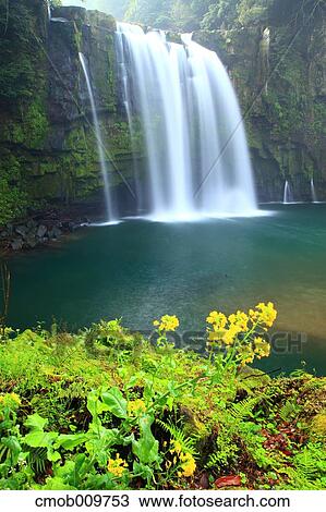 "Kagoshima Prefecture, Japan" View Large Photo Image Stock Image - "Kagoshima Prefecture, Japan". Fotosearch