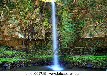 "Kagoshima Prefecture, Japan" View Large Photo Image Stock Photo - "Kagoshima Prefecture, Japan". Fotosearch