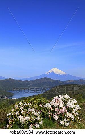 Picture - "Kanagawa Prefecture, Japan". Fotosearch