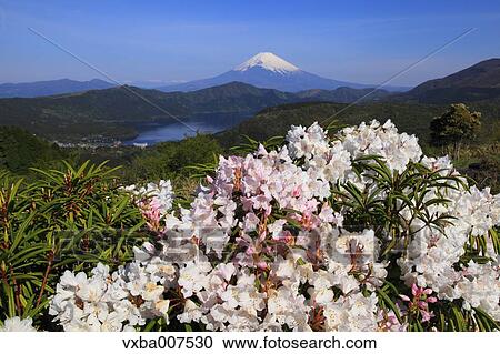 Stock Image - "Kanagawa Prefecture, Japan". Fotosearch