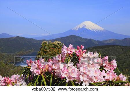 "Kanagawa Prefecture, Japan" View Large Photo Image Stock Image - "Kanagawa Prefecture, Japan". Fotosearch