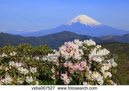 "Kanagawa Prefecture, Japan" View Large Photo Image Stock Photo - "Kanagawa Prefecture, Japan". Fotosearch