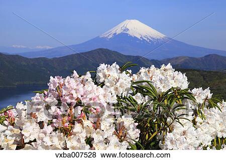 Stock Photo - "Kanagawa Prefecture, Japan". Fotosearch