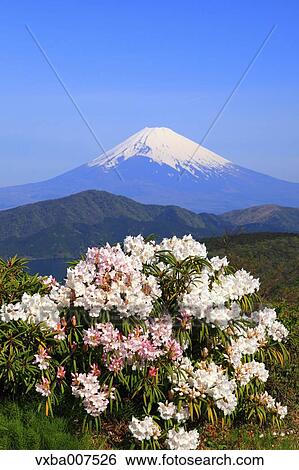 "Kanagawa Prefecture, Japan" View Large Photo Image Stock Photograph - "Kanagawa Prefecture, Japan". Fotosearch