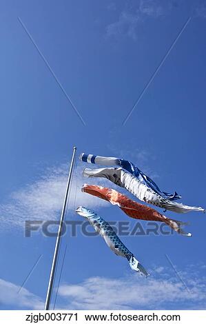 Koinobori Flying Carps View Large Photo Image Stock Image - Koinobori Flying Carps. Fotosearch