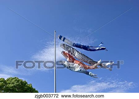 Koinobori Flying Carps View Large Photo Image Stock Image - Koinobori Flying Carps. Fotosearch