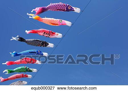 Koinobori Flying Carps View Large Photo Image Stock Photo - Koinobori Flying Carps. Fotosearch