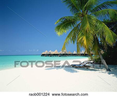 Maldives View Large Photo Image Picture - Maldives. Fotosearch