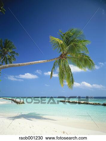 Stock Image - Maldives. Fotosearch