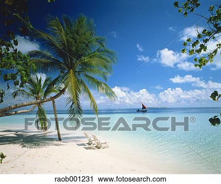 Maldives View Large Photo Image Stock Image - Maldives. Fotosearch