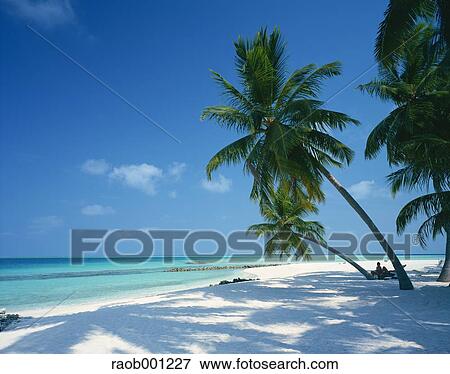 Maldives View Large Photo Image Stock Photo - Maldives. Fotosearch