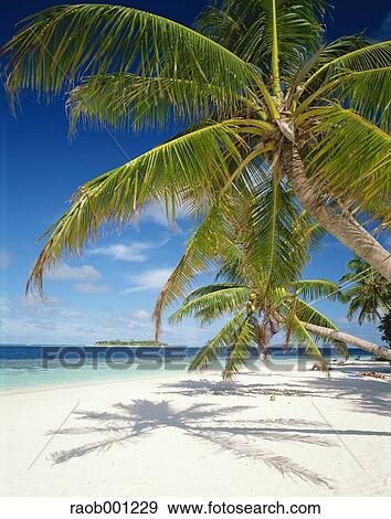 Maldives View Large Photo Image Stock Photo - Maldives. Fotosearch