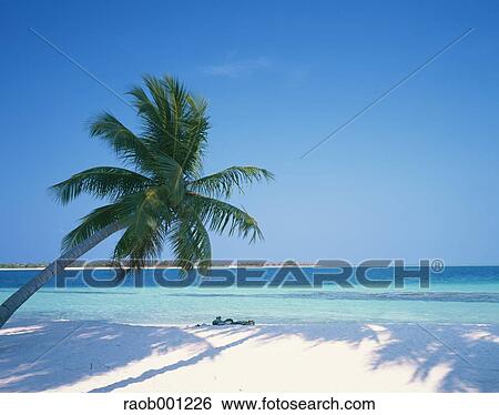 Maldives View Large Photo Image Stock Photograph - Maldives. Fotosearch