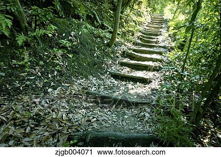 Mountain road View Large Photo Image Stock Image - Mountain road. Fotosearch
