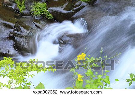 Mountain water stream View Large Photo Image Stock Image - Mountain water stream. Fotosearch