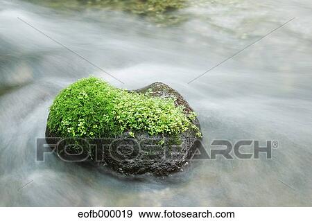 Mountain water stream View Large Photo Image Stock Photo - Mountain water stream. Fotosearch