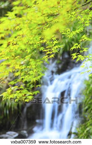 Mountain water stream View Large Photo Image Stock Photo - Mountain water stream. Fotosearch