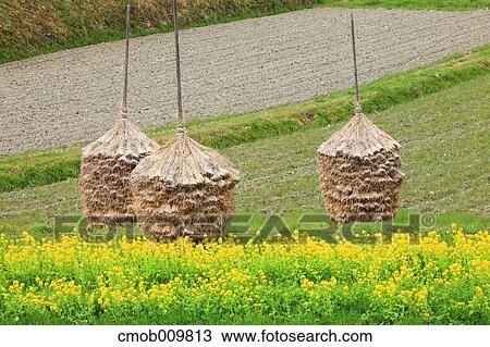Stock Image - "Nara Prefecture, Japan". Fotosearch