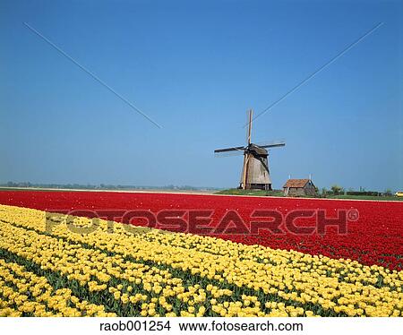 Netherlands View Large Photo Image Picture - Netherlands. Fotosearch