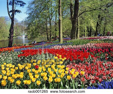 Netherlands View Large Photo Image Stock Photography - Netherlands. Fotosearch