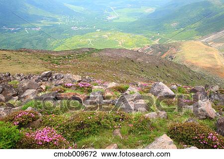 "Oita Prefecture, Japan" View Large Photo Image Stock Image - "Oita Prefecture, Japan". Fotosearch