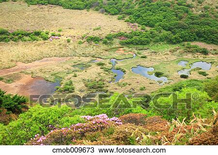 "Oita Prefecture, Japan" View Large Photo Image Stock Image - "Oita Prefecture, Japan". Fotosearch