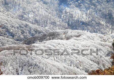 "Oita Prefecture, Japan" View Large Photo Image Stock Image - "Oita Prefecture, Japan". Fotosearch