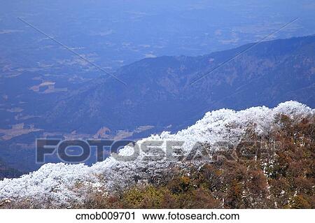 "Oita Prefecture, Japan" View Large Photo Image Stock Image - "Oita Prefecture, Japan". Fotosearch