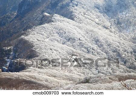 "Oita Prefecture, Japan" View Large Photo Image Stock Image - "Oita Prefecture, Japan". Fotosearch