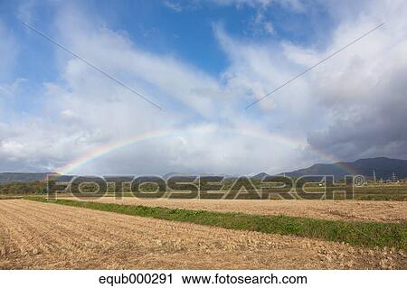 Rice field View Large Photo Image Stock Image - Rice field. Fotosearch