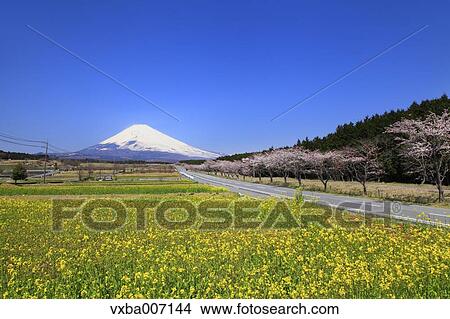 "Shizuoka Prefecture, Japan" View Large Photo Image Picture - "Shizuoka Prefecture, Japan". Fotosearch