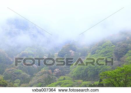 "Shizuoka Prefecture, Japan" View Large Photo Image Picture - "Shizuoka Prefecture, Japan". Fotosearch