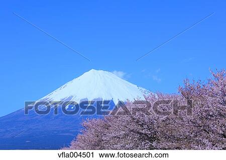 Stock Image - "Shizuoka Prefecture, Japan". Fotosearch