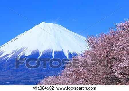 "Shizuoka Prefecture, Japan" View Large Photo Image Stock Image - "Shizuoka Prefecture, Japan". Fotosearch