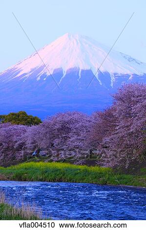 "Shizuoka Prefecture, Japan" View Large Photo Image Stock Image - "Shizuoka Prefecture, Japan". Fotosearch