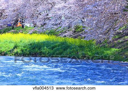 "Shizuoka Prefecture, Japan" View Large Photo Image Stock Image - "Shizuoka Prefecture, Japan". Fotosearch